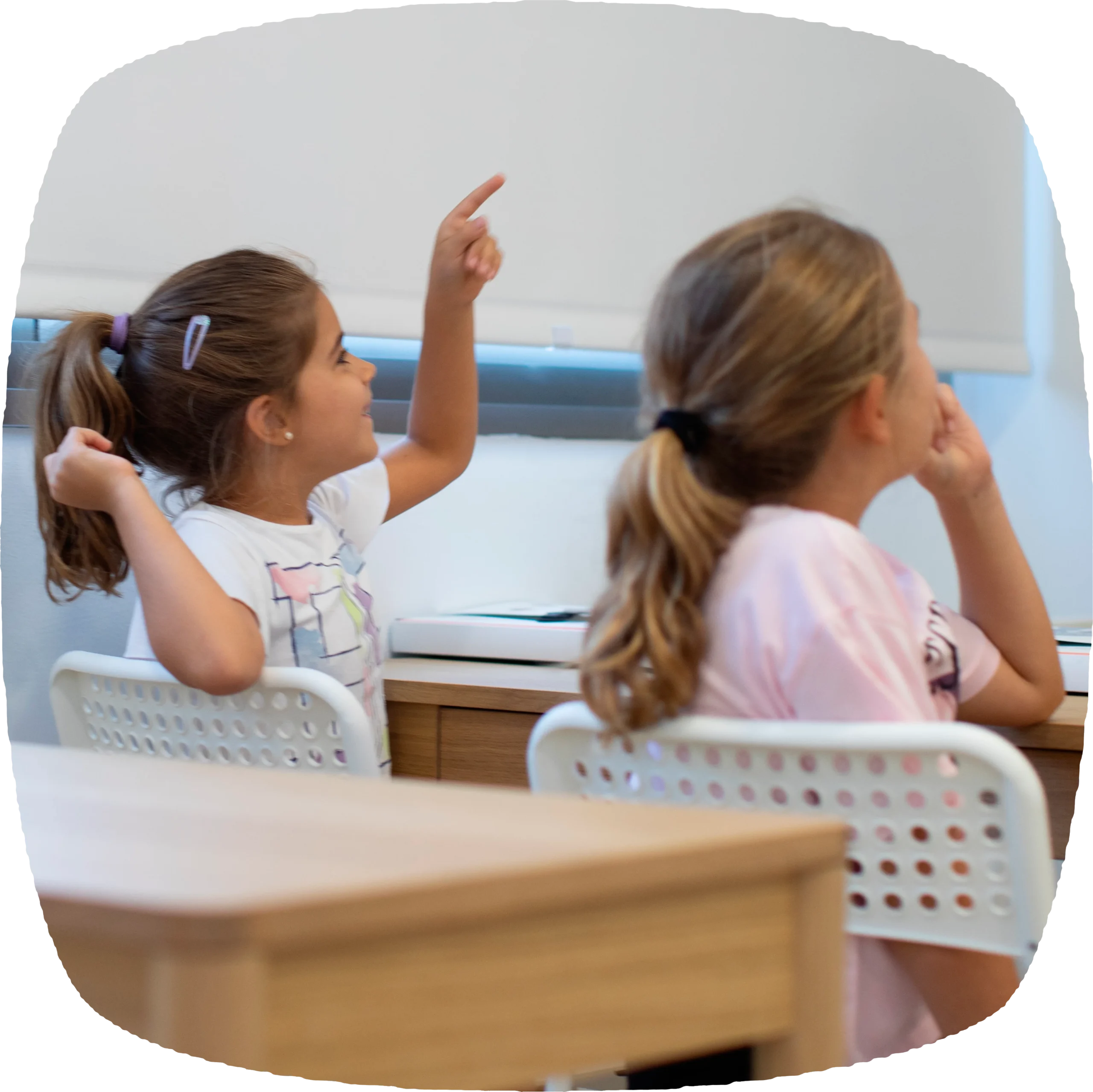 Descripción de la imagen